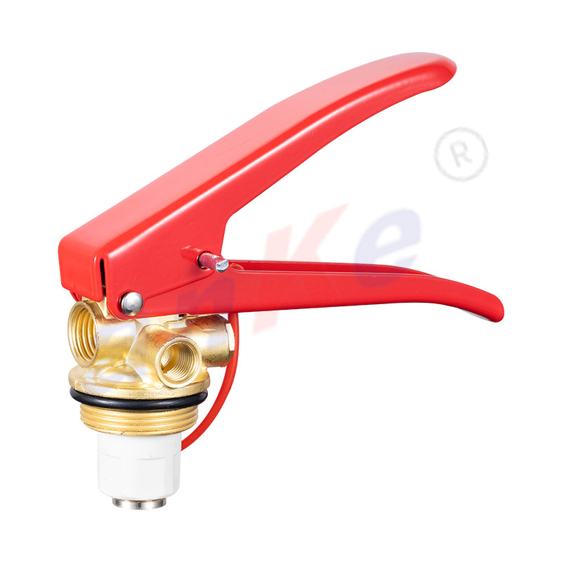 Utilizado para extintor de incendios de 4-9 kg 1139